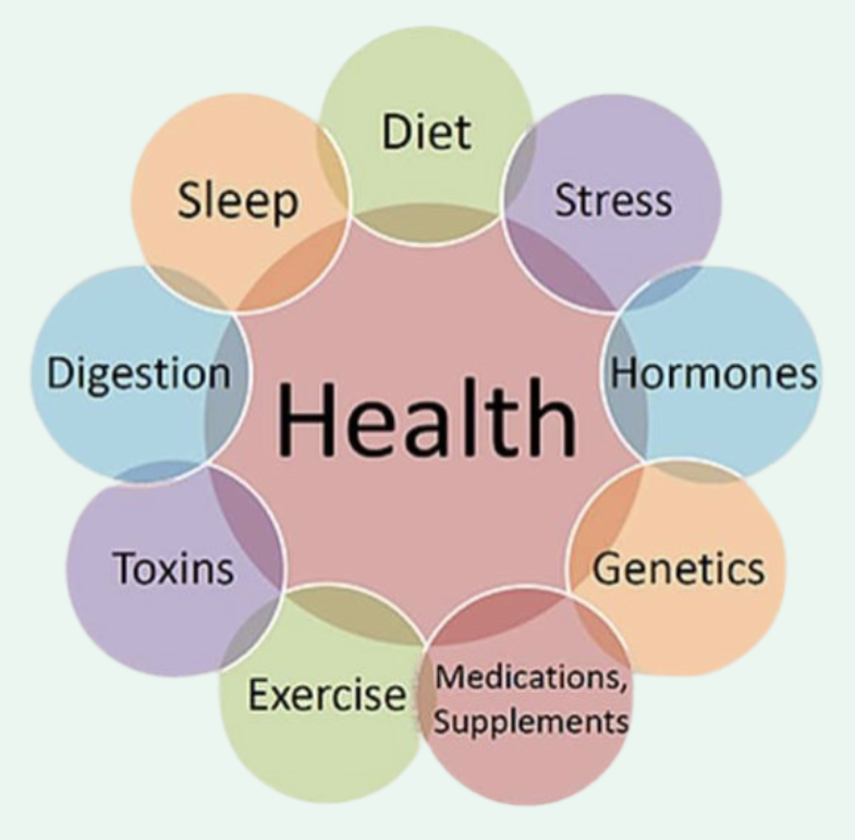 Wellspring MD - Functional Medicine Venn DIagram